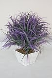Homescapes Vanila Grass in Basket Lilac Lifelike Leaves Silk Flowers Replica Artificial Plant 51bEBd FoQL. SL160 Homescapes Vanila Grass in Basket Lilac Lifelike Leaves Silk Flowers Replica Artificial Plant
