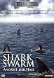 Shark Swarm