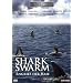 Shark Swarm
