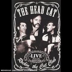 Rockin' The Cat Club