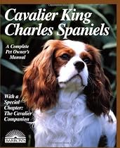 Cavalier King Charles Spaniel
