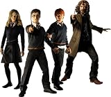 Click for larger image of Harry Potter Order of the Phoenix 4' Figure Set