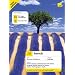 Teach Yourself French Book CD Pack (Teach Yourself Complete Courses)