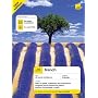 Teach Yourself French Book CD Pack (Teach Yourself Complete Courses)
