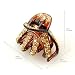 Apparel : Esteve Golden Amber - Cubitas Avignon Collection (Made in France, Swarovski Crystals, Claw clip)