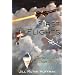 First Flights: Stories to Inspire From Those Who Fly