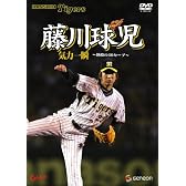 藤川球児 気力一瞬 ~熱闘の46セーブ~ [DVD]