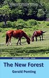 New Forest : experience, explore, enjoy