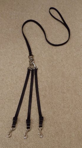 Leash Lady 