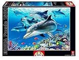 Paradise Under The Sea (1500 pc puzzle)