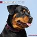 Rottweiler 2012 Calendar 10064-12