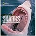 Face to Face With Sharks (Face to Face with Animals)