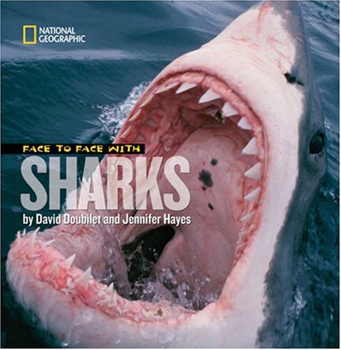 Face to Face With Sharks (Face to Face with Animals)