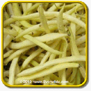1 Lb Yellow Bean Seeds - 'Golden Wax' (Top Notch) Bulk Vegetable Seeds