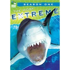 Most Extreme - Season 1 by 