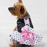 Polka Dot Ribbon Collection - While Supplies Last!