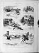 1877 Life Manitoba America Horses Bear Hunt Fox Sport
