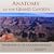 Anatomy of the Grand Canyon: Panoramas of the Canyon's Geology