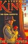 The Dark Tower VII