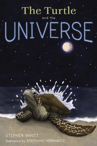 The Turtle and the Universe