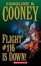 Flight #116 is Down!