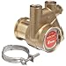 Procon 141A025F11CA Low Lead Brass Rotary Vane Pump, 3/8" NPTF, 35 GPH
