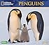 Penguins 2016 National Geographic Wall Calendar