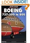 Boeing 737 - 300 to 800 (Airliner Color History)
