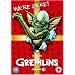 Gremlins [DVD] [1984]