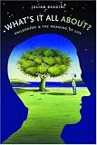 What's It All About?: Philosophy and the Meaning of Life