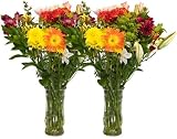 Think BIG ! Bouquet - Free Fast Shipping - 50 Stems - 9 Kinds of Fresh Cut Flowers - B000YQRA0I