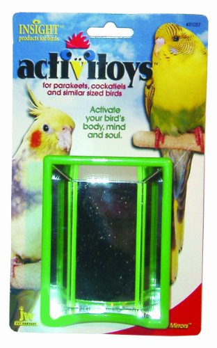 Hall of Mirrors Bird Toy