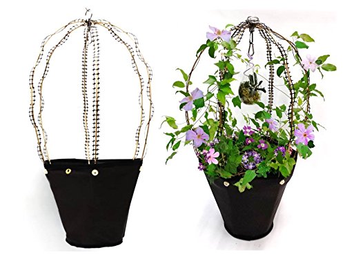 Junior Medium Sized Hanging Planter Basket with Attached Gold Obelisk Trellis