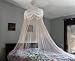 Pink Princess Bed Canopy Mosquito Net Bed Netting