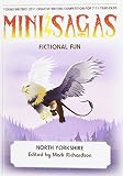 Mini sagas : fictional fun. North Yorkshire