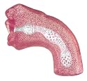 California Exotics Deep Throat Stroker