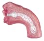 California Exotics Deep Throat Stroker