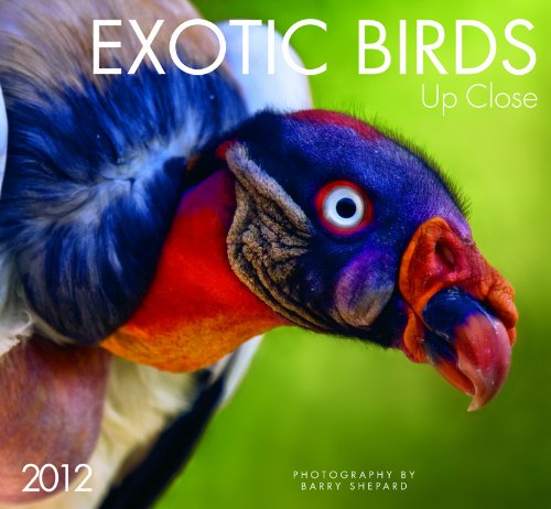 2012 Exotic Birds Wall calendar