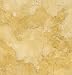 Jerusalem Gold Limestone Tile 24