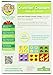 Earth's Best Crunchin' Crackers, Cheddar, 5.3 Ounce (Pack of 6)