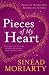 Pieces of My Heart
