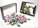 Photo Jigsaw Puzzle of Chelsea Flower Show from Prints Prints Prints