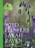 Wild flowers