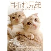 耳折れ兄弟 スコティッシュフォールド・アトム&ルーク [DVD]