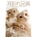 �����ɂ�񂱒B�̉f��W