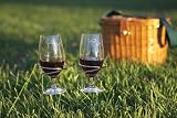 Picnic Plus Stainless Steel Wine Glass Holders