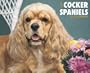 Just Cocker Spaniels Calendar