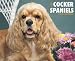 Just Cocker Spaniels 2010 Calendar