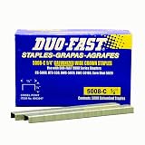 Duo Fast 5008C 20 Gauge Galvanized Staple 1/2-Inch Crown x 1/4-Inch Length, 5000 Pack