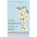 One Morning Like a Bird